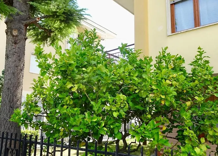 Residential Area Near The Sea And The Mountains 迪亚诺马里纳
